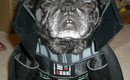 Star_wars_animals_in_costumes_1