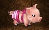 Piggy3